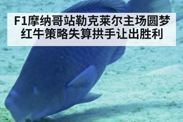 F1摩纳哥站勒克莱尔主场圆梦 红牛策略失算拱手让出胜利