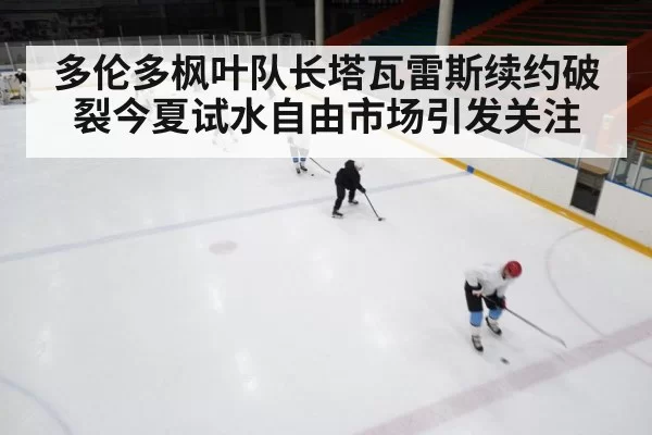 多伦多枫叶队长塔瓦雷斯续约破裂今夏试水自由市场引发关注