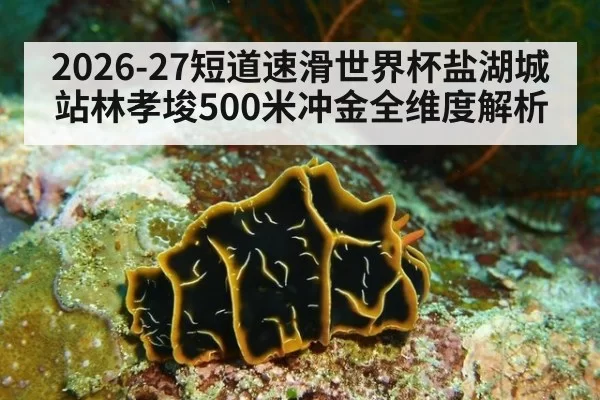 2026-27短道速滑世界杯盐湖城站林孝埈500米冲金全维度解析